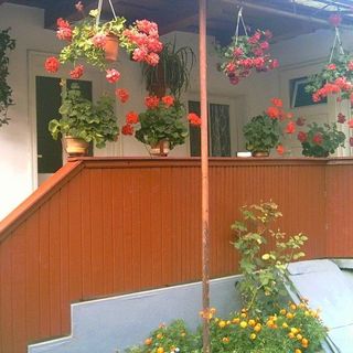 Pensiunea Gizella Rimetea (2)