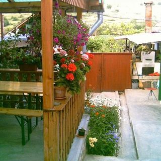 Pensiunea Gizella Rimetea (3)