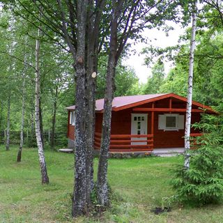 Cabana Fenyőlak Vlăhița (4)