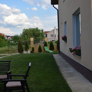 Vila Ardelean Băile Felix (4)