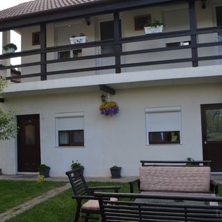 Vila Ardelean Băile Felix (5)