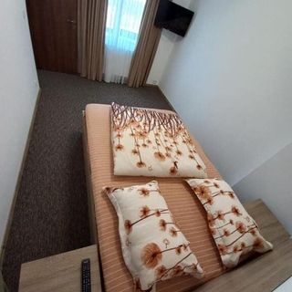 Pensiunea King Băile Felix (2)