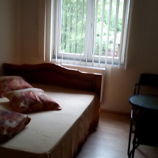 Vila Rosa Băile Olănești (5)
