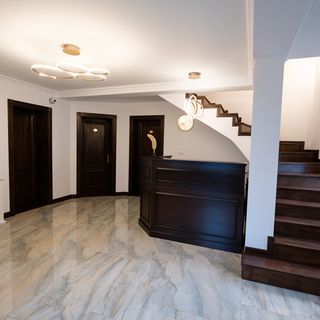White Residence Arad (4)
