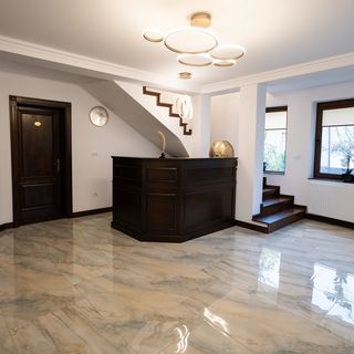 White Residence Arad (5)