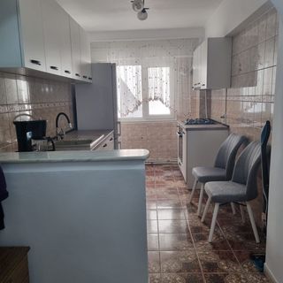 Apartament Ada Gura Humorului (3)