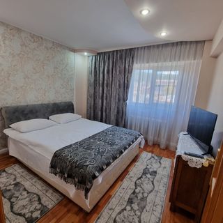 Apartament Ada Gura Humorului (4)