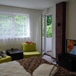 Casa Elena Brădetu (2)