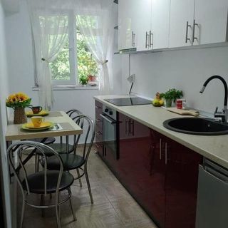 Casa Elena Brădetu (4)