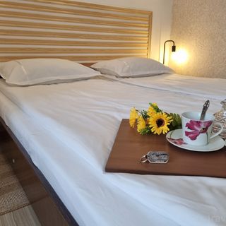 Casa Eladi Eforie Sud (4)