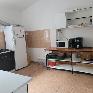 Casa Stefăniță Runcu (4)