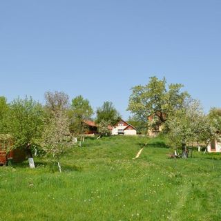 Camping Zamolxe Sarmizegetusa (5)