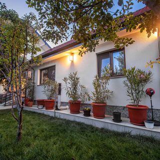 Vila H2O Mangalia (3)