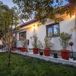 Vila H2O Mangalia (3)