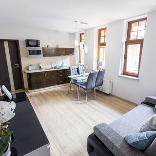 Apartament 41 w Willi Józefina Szklarska Poręba (2)