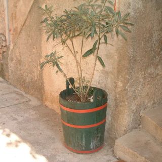 Apartmani Vale Betina Murter (4)