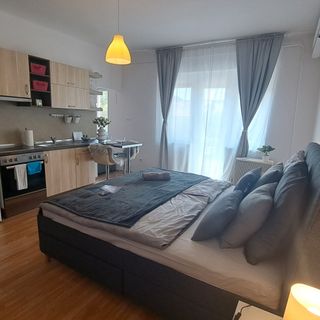 Jelena Apartman Szeged (5)