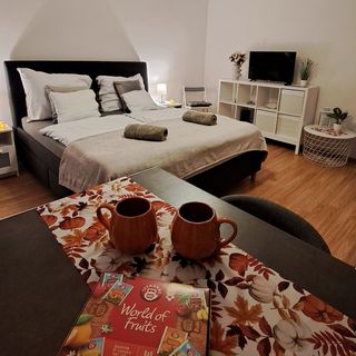 Jelena Apartman Szeged (2)