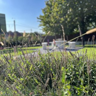Szeglet Apartman Andornaktálya (3)