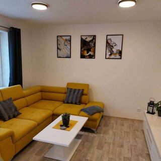 Apartmán Pod Bukem Červená Voda (2)