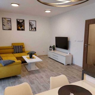 Apartmán Pod Bukem Červená Voda (4)