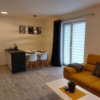 Apartmán Pod Bukem Červená Voda (5)