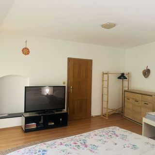 Apartmán U Slunečnice Husinec (4)