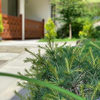 Apartamenty Kornaje Szczawnica (4)