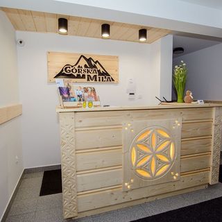 Apartament Słonecznikowy Górska Mila Zakopane (5)