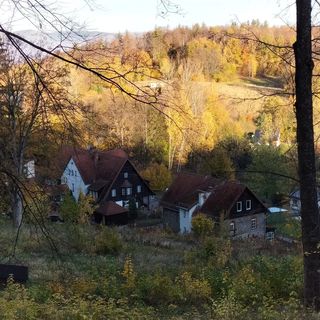 Krasnoludki z Sosnówki (4)