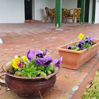 Várlak Vendégház Mórahalom  (5)