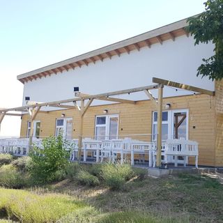 Levendulászat Vendégház Simontornya (2)