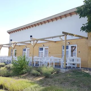 Levendulászat Vendégház Simontornya (2)