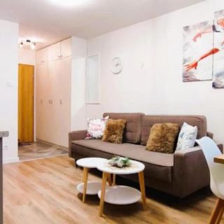 Apartament nad Łomnicą Karpacz (3)