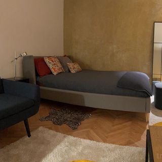 Walter Apartment Brașov (2)