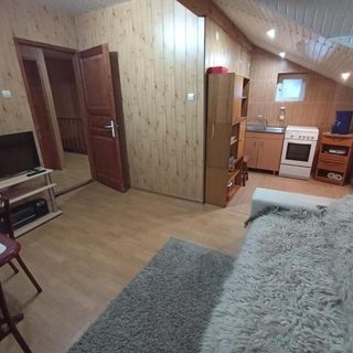 Casa Corina Șirnea (5)