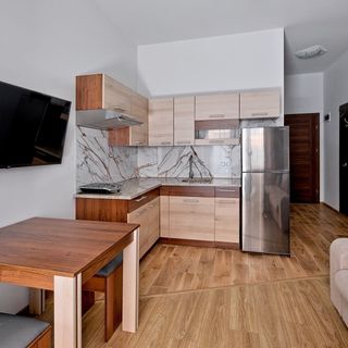 Apartament Przy Stoku 102 Białka Tatrzańska (4)