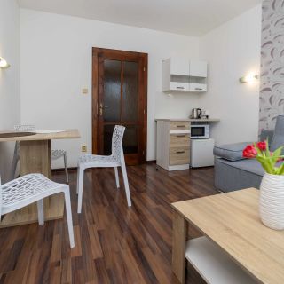 Plus Restaurant & Pension Litomyš (5)