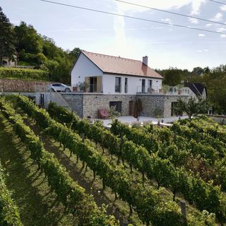 Rábai Katalin Borászat És Vendégház Neszmély (3)