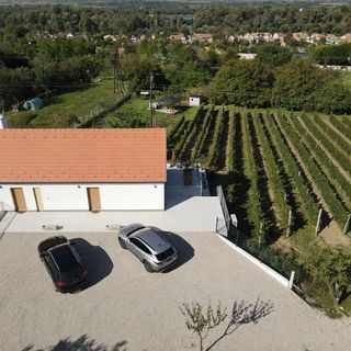 Rábai Katalin Borászat És Vendégház Neszmély (4)