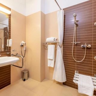 Hotel Krynica Conference & SPA Krynica-Zdrój (5)