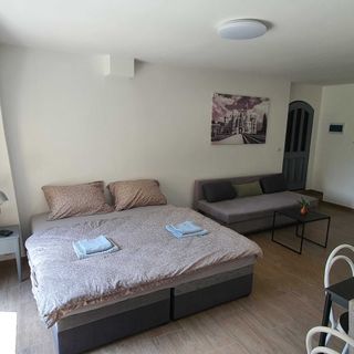 Apartmány ČERNÝ KOHOUT Černá v Pošumaví (3)