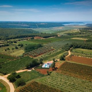 Vendégház Novigrad - Cittanova - CLS068 (4)