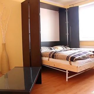 Apartmán Edita Velké Losiny (5)