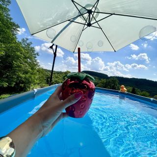 Csapi Vendégház Csapi (2)