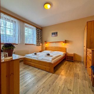 Penzion U Studeného potoka Nové Hutě (3)