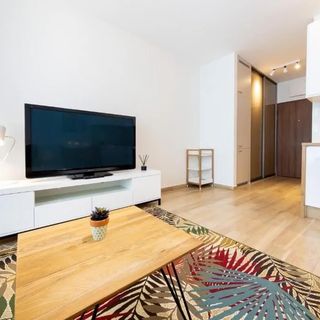 Studio z rozkładaną sofą - VIP Apartamenty Butikowa Białystok (2)