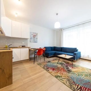 Studio z rozkładaną sofą - VIP Apartamenty Butikowa Białystok (3)