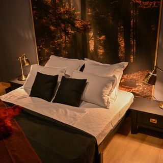 Casa La Tulipe Noire Bran (4)