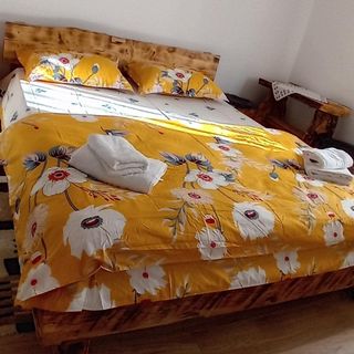 Cabana Lui Lemu Avram Iancu (2)